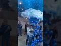 Surprise Gender Reveal Balloon Garland Birthday Shortvideo Shorts Trending Viralvideo