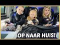 ALLES WEER iN ONS BUSJE KRiJGEN EN NAAR HUiS! ? | Bellinga Vlog #2335