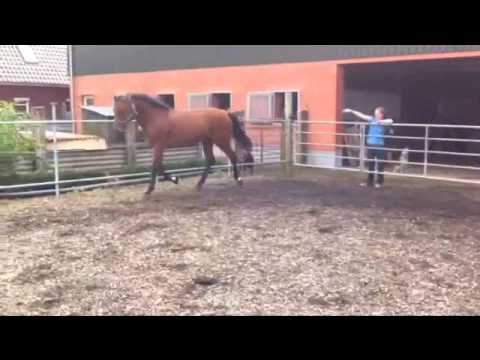 Cric Crac by Corrado I-Fasolt, freejumping, *2009, short