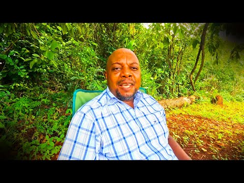 #13 How they make $8000 profit pen fattening beef cattle in Zimbabwe.