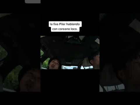 Fixa Pilar Llama Al Coreano Loco