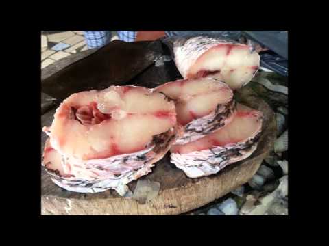 Diavoorstelling Suriname 2014