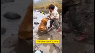 معجزة النجاة.. عندما تتحدث براءة الأطفال بلغة الوفاء! ✨#shorts #viral #trending