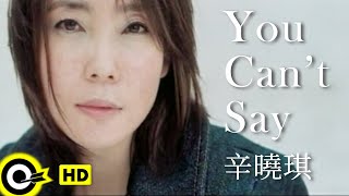 辛曉琪 Winnie Hsin【You can&#39;t say】Official Music Video