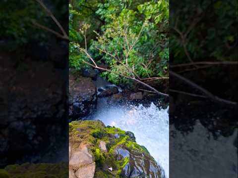 Cachoeira Itambe Joviania Goiás. #natureza #plantas #interiordegoias #mtb