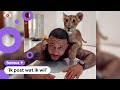 Memphis Depay reageert op kritiek op foto met lijger