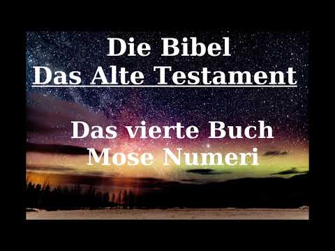 Die Bibel Das Alte Testament Das vierte Buch Mose Numeri
