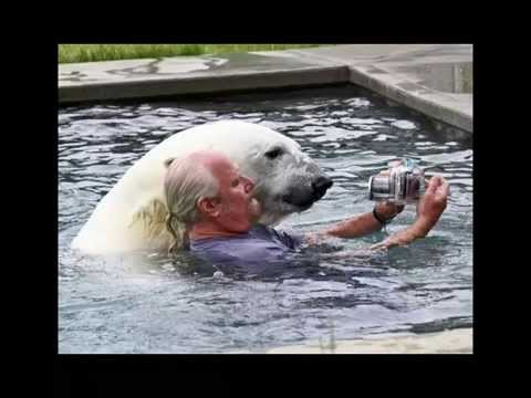 top 10 funny selfie with animals