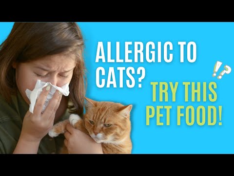 A Pet Food That Makes You Less Allergic To Cats?!