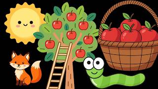 Apple picking peekaboo baby sensory stimulation high contrast sound gameplay video by Rachel.Marquis, 63:44 duration