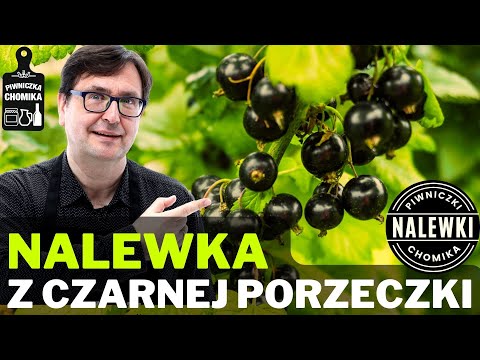 Nalewka z czarnej porzeczki. Pyszna i zdrowa! Zobacz prosty i sprawdzony przepis w jednym filmie.