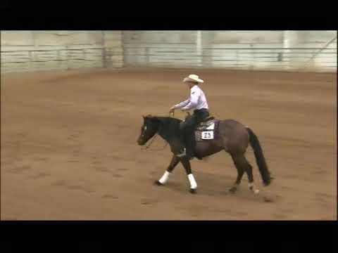 2019 East Slope Slide Level 4 Derby Champion - Outlaw Dreams & Devin Warren