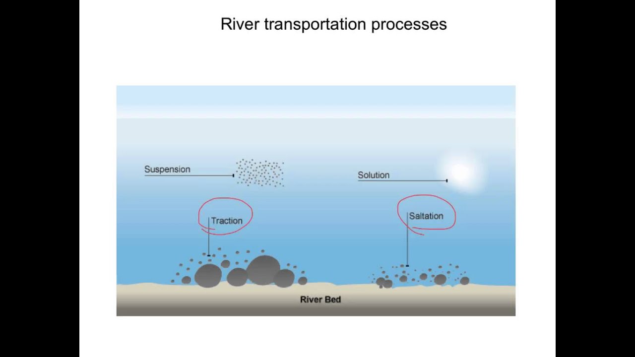 River transportation processes (EE)