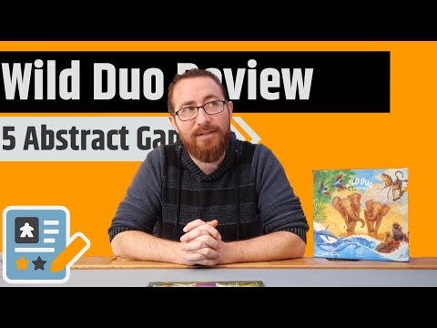 Wild Duo Review - 5 Abstract Games, 1 Price Point