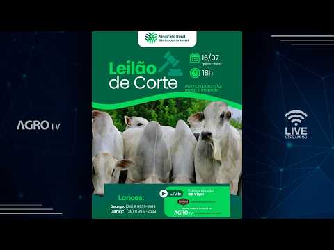 LEILÃO DE SÃO GONÇALO DO ABAETÉ - 16/07/2026