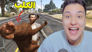 سرقة الكلب فى قراند 5 ???? الشرطة بتجري ورايا