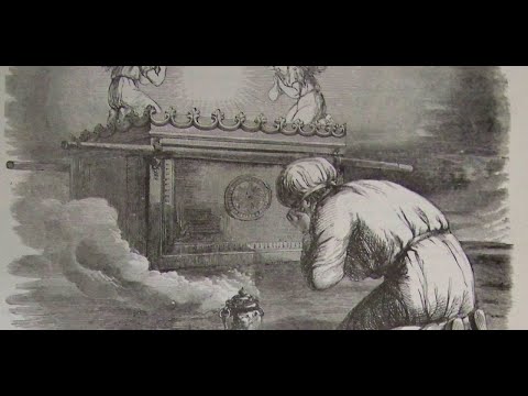 THE PRESCIENCE BOX | Extended Preview/Sneak Peek | Professor Weiss identifies the Dybbuk Box