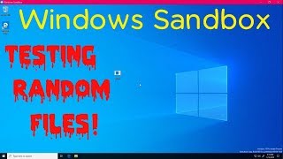 Testing out Windows Sandbox with random files!
