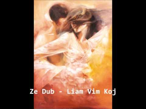 Ze Dub Vol. 2 - Liam Vim Koj