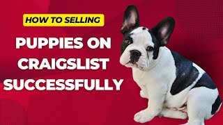 Selling Puppies on Craigslist Successfully in 2024: Avoiding Flagging Issues