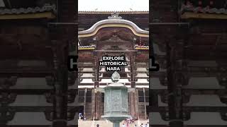 Best Things to Do in Japan #shorts #japan