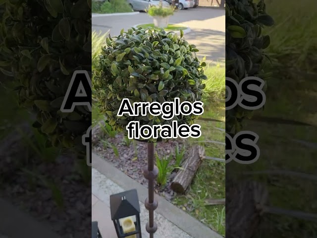 Vídeo relacionado con Candelabro de 5 Brazos Plateado Altura del Candeleros 122 cm