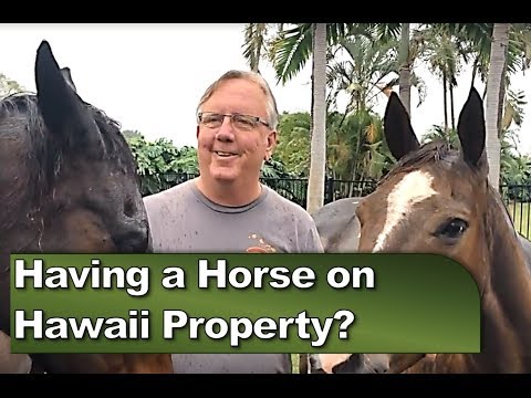 YouTube video about: Are there horses in hawaii?