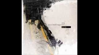 Assemblage 23 - Raw (lyrics)