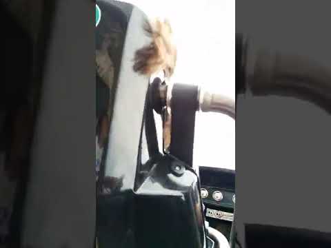 Abyssus Aqualantis 2023 Energylandia