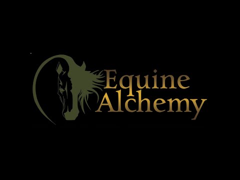 Linda Kohanov and Lisa Murrell Webinar