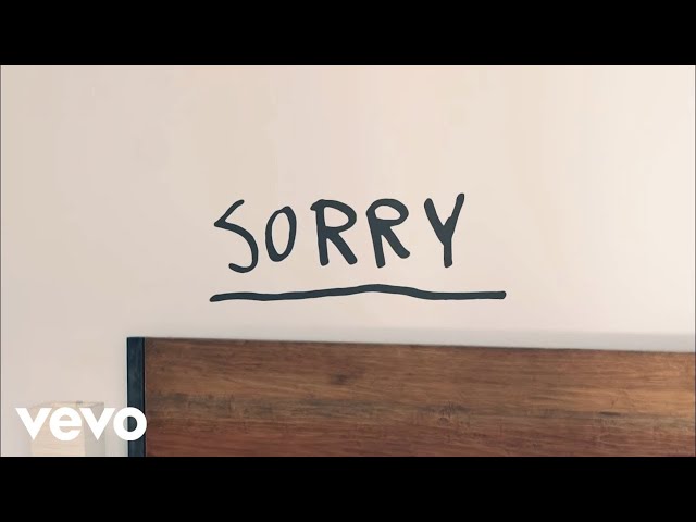 Download Sorry Justin Bieber