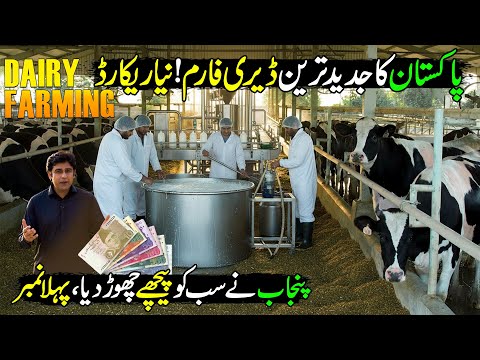 Modern Dairy Farming In Pakistan With Latest Technology | Kissan Ka Pakistan | Discover Pakistan