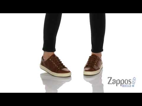 sperry anchor plushwave sneaker