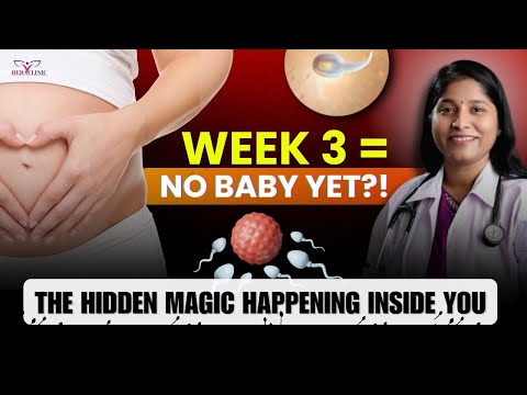 3 Weeks Pregnant: What Does The Baby Look Like?