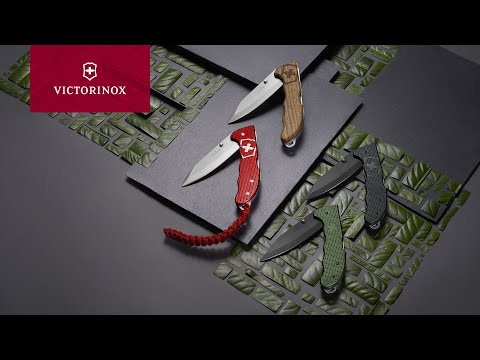 Карманный нож Victorinox Evoke Wood (0.9415.D630)