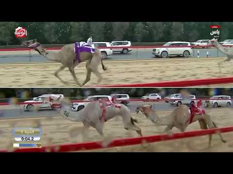 ش 5 (معالي) الشيخ محمد ذياب بن سيف آل نهيان 12:07:53 ، ختامي المرموم 2026/03/31 ثنايا