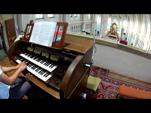 Cezročné kyrie na nápev JKS 239 / JKS 256