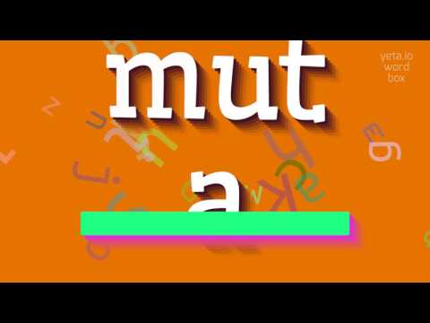 How to say "muta"! (High Quality Voices)