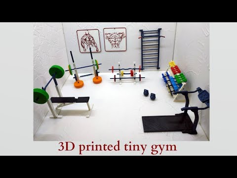 3d Printed Tiny Gym : 11 Steps - Instructables