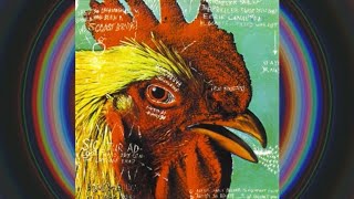 Pavement- Shoot the Singer