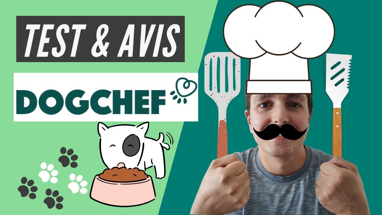 Dog Chef : Test & Avis de cette alimentation fraîche pour chien (+ Code Promo)
