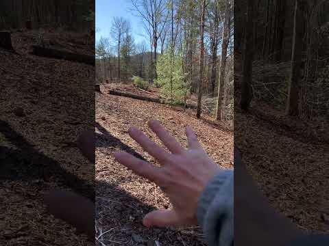 The first look at the creation of my new garden!!