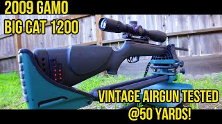 .177 Gamo Big Cat 1200 50 Yard TESTING! Does this VINTAGE AIR RIFLE STILL HAVE IT AFTER 10+ YEARS?