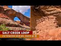 CANYONLANDS! Salt Creek to Lavender Canyon and Davis Rim