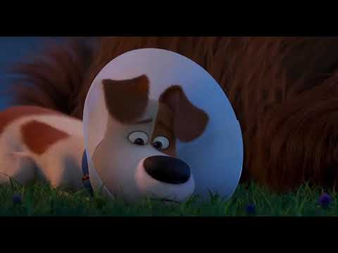 The Secret Life of Pets 2 | "Rooster Attacks the Fox" Clip | Illumination