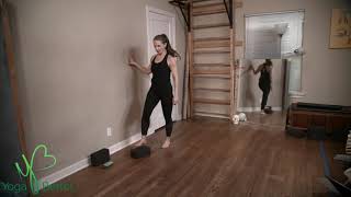 Level 1: Friday  Oct 16th  9am(ANDRIA)