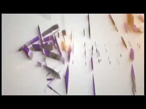 Pectoral region & breast 5