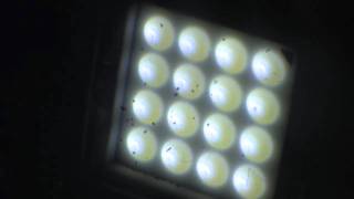 HIGH POWERED LED 2 WATT x 3 in series 6 WATTS Efficient Green Lighting