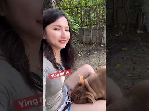 Best dogmom in 2026 #dog dogs