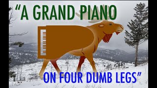 David Wilcock Hangout: A Grand Piano on Four Dumb Legs...